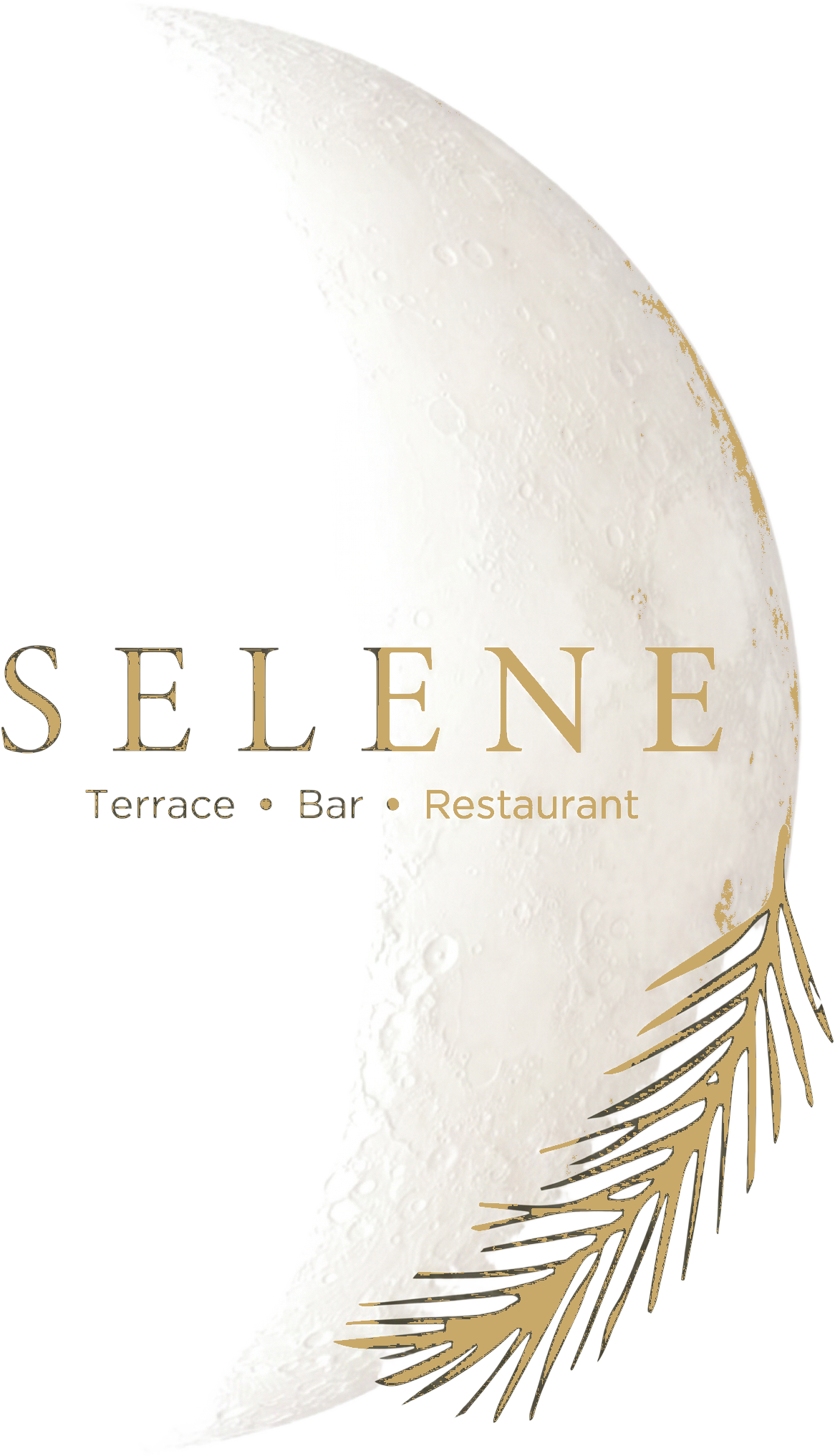 Selene — Terrace · Bar · Restaurant